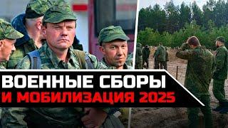 Военные сборы и мобилизация 2025. Как могут призвать с военных сборов