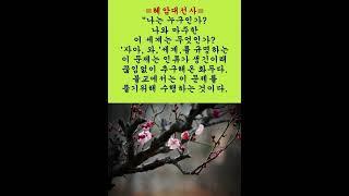 #혜암대선사# #김이현 定慧#禪어록,#참선 ,#선불교,#간화선 ,#명상,#수행,#수행#자신과의 만남,