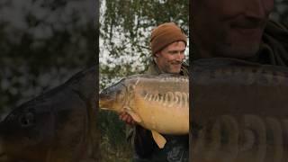 Mainline Baits "Carp Project" mit Darrell Peck - Jetzt online!  #kordagermany #shortsvideo