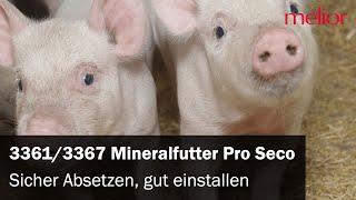 Ferkel sicher absetzen, Mastjager gut einstallen