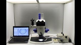 Zeiss Discovery.V8 SteREO Microscope Stereoscope - 12098