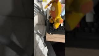 You can’t fall down the stairs if you’re already at the bottom. #fypシ゚viral #fnafplush