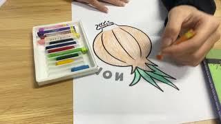 Practice coloring the picture: Image of an onion gradually growing