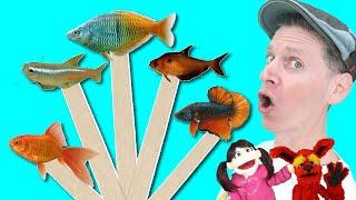 Fish Part 2 | Pop Sticks Song with Matt | Dream English Kids