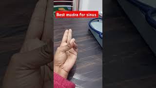 Best mudra for sinus #ytshorts #yogaasana #mudratherapy #sinus #drxnidhigupta