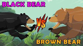 Black Bear vs Brown Bear | Woodland Fight Club [S1] | Animal Animation