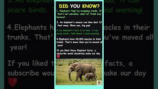 Elephant Facts You’ll Never Forget!  #facts #animal #animalfacts #didyouknow #animalknowledge