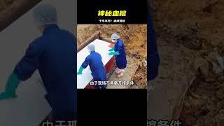 江蘇挖出神秘血棺，棺木歷經千年而不朽，宛如剛下葬一般 #學歷史知識 #學歷史 #知識 #歷史 #外星人