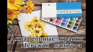 Акварельные краски профессиональные Невская палитра || Распаковка, обзор, отзыв