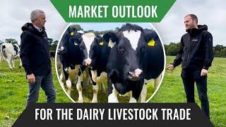 Market Outlook for The Dairy Livestock Trade