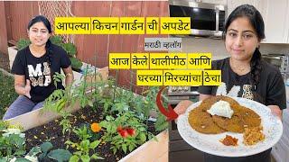 आज केला घरच्या मिरच्यांचा ठेचा | किचन गार्डन उपडेट | recipe | kitchen garden update | Marathi vlog