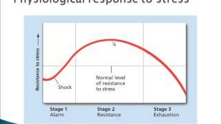 Psychology 101: The General Adaptation Syndrome