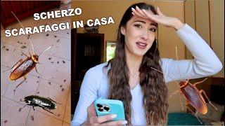 SCHERZO AI MIEI GENITORI LA CASA È PIENA DI SCARAFAGGI - Valentina Lattanzio