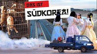 [#116] Das ist Südkorea?! So sieht das Land wirklich aus