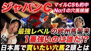 【ジャパンカップ】最強欧州軍団を徹底解説！参戦の本当の理由と本気度を考察！人気落ちで買いたい穴馬も発表