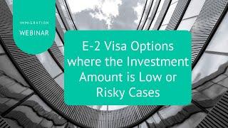 E-2 Visa Options where the Investment Amount is Low or Risky Cases