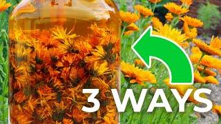 Three Ways to Make Calendula Oil (Easy, Quick, & POTENT)