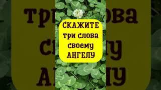 ️ Скажите три волшебных слова своему ангелу хранителю