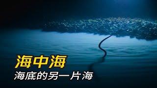 地球放了一个屁 深海里出现了海中海