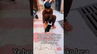 beagle dog real hai bas photo ki video banayi hai free delivery
