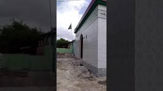 Jija ma