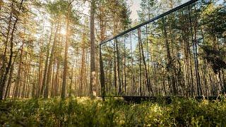 ÖÖD "MYSA" - A Beautiful Mirror Cabin Located In The Magical Pine Forest Of Western Estonia