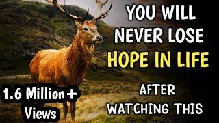 YOU WILL NEVER LOSE HOPE IN YOUR LIFE | MOTIVATIONAL STORY OF A DEER | #hope