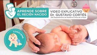 Aprende sobre el recién nacido - Vídeo explicativo