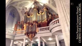 Georg Melchior Hoffmann: Concerto a 7 ex Dis (Es-Dur) for Corno da caccia & Organ