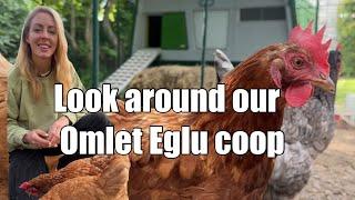 KEEPING CHICKENS SAFE - Omlet Eglu Pro Chicken Coop Review - Easy Clean, Waterproof & Secure
