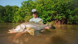 INSANE CLEAR WATER EAT - Paddleboard Sight Fishing for Snook and Tarpon on Fly