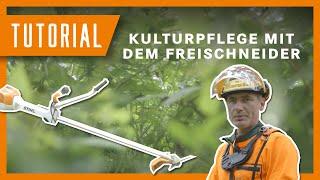 Tobi zeigt: Kulturpflege mit dem Freischneider I #tutorial #waldarbeit #forstwirtschaft