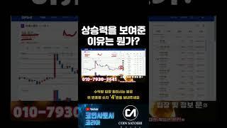 상승력을 보여준 이유는? #코인 #코인뉴스 #시바이누코인 #리플 #비트코인 #코인추천 #경제적자유 #코린이 #코인투자 #성공 #코인베이스