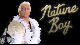 The VERY BEST of Ric Flair - The ULTIMATE Promos (HD)