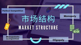 【经济学课程】 第十课 || 市场结构 Market Structure