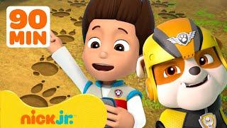 Paw Patrol | ¡PAW Patrol encuentra todo lo que se ha perdido! con Rubble | 90 minutos | Nick Jr.