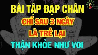 Chỉ cần đập chân kiểu này 5 phút mỗi ngày, hồi sinh gan thận, đẩy lùi bệnh tật, sống rất thọ SKST