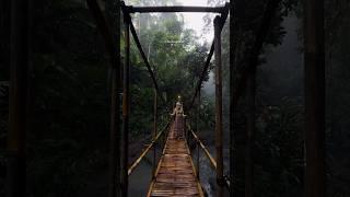 Amongst the jungle #Ubud #Bali 