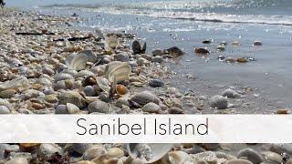 I have the beach to myself. Sanibel Island seashells broke my shell bag!