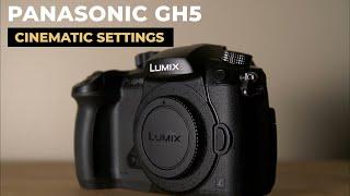 Lumix GH5 Cinematic Settings 2021