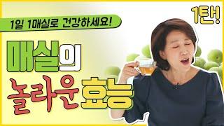 무설탕 매실 먹는 법 1탄 1편! 말리면 효과도 좋아지는 놀라운 매실의 효능 ①