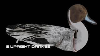 Dive Bomb Industries S3i Pintail Sock Decoys