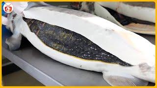 Beluga Caviar - The Precious Gem of World Cuisine | Global Cuisine TV