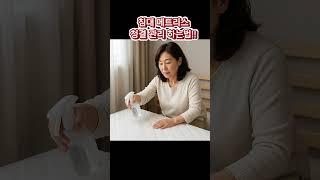 침대 매트리스 청결하게 관리하는법! 매트리스 위에 베이킹소다를 물에 타서 분무기로 뿌려두면 습기를 흡수하고 살균됩니다.