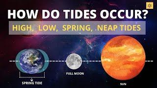 How Do Tides Occur? Low tide, High Tide, Spring Tide, Neap Tide