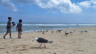 Enjoying Beautiful time in sandy hook beach New Jersey.