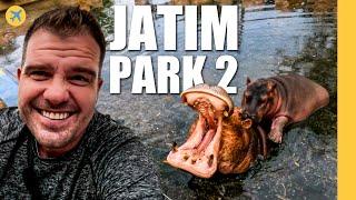 I found Indonesia’s secret zoo (It’s incredible!)