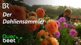 Dahliensammler aus der Rhön