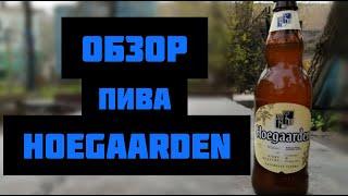 Обзор на пиво Hoegaarden