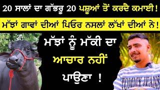 Dairy farming business - 20 ਸਾਲਾਂ ਦਾ ਗੱਭਰੂ 20 ਪਸ਼ੂਆਂ ਤੋਂ ਕਰਦੈ ਕਮਾਈ ! Chahal Dairy Farm | milking